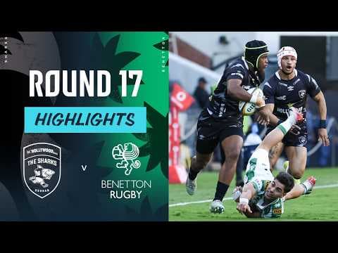 HIGHLIGHTS | Hollywoodbets Sharks vs Benetton Treviso