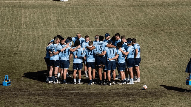 Everything You Need To Know About The NSW Waratahs