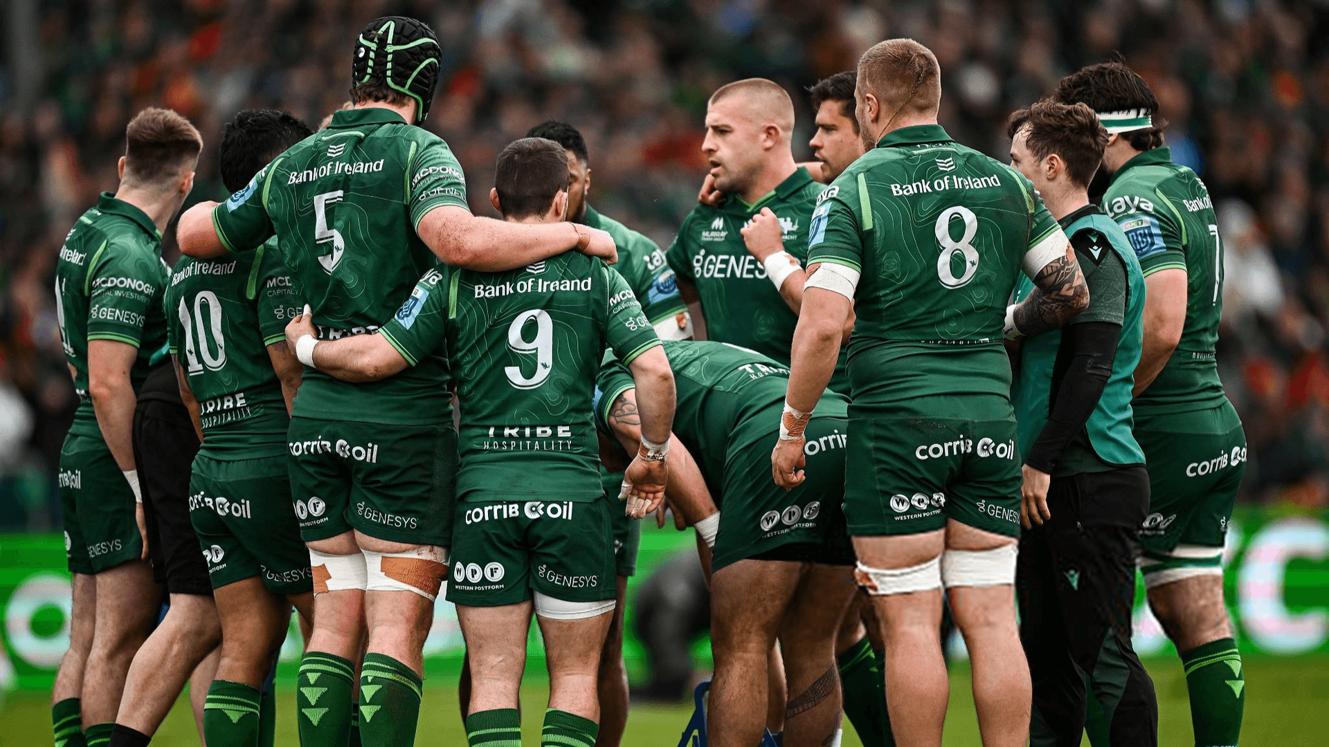 Two Potential Options for Connacht's Next Head Coach