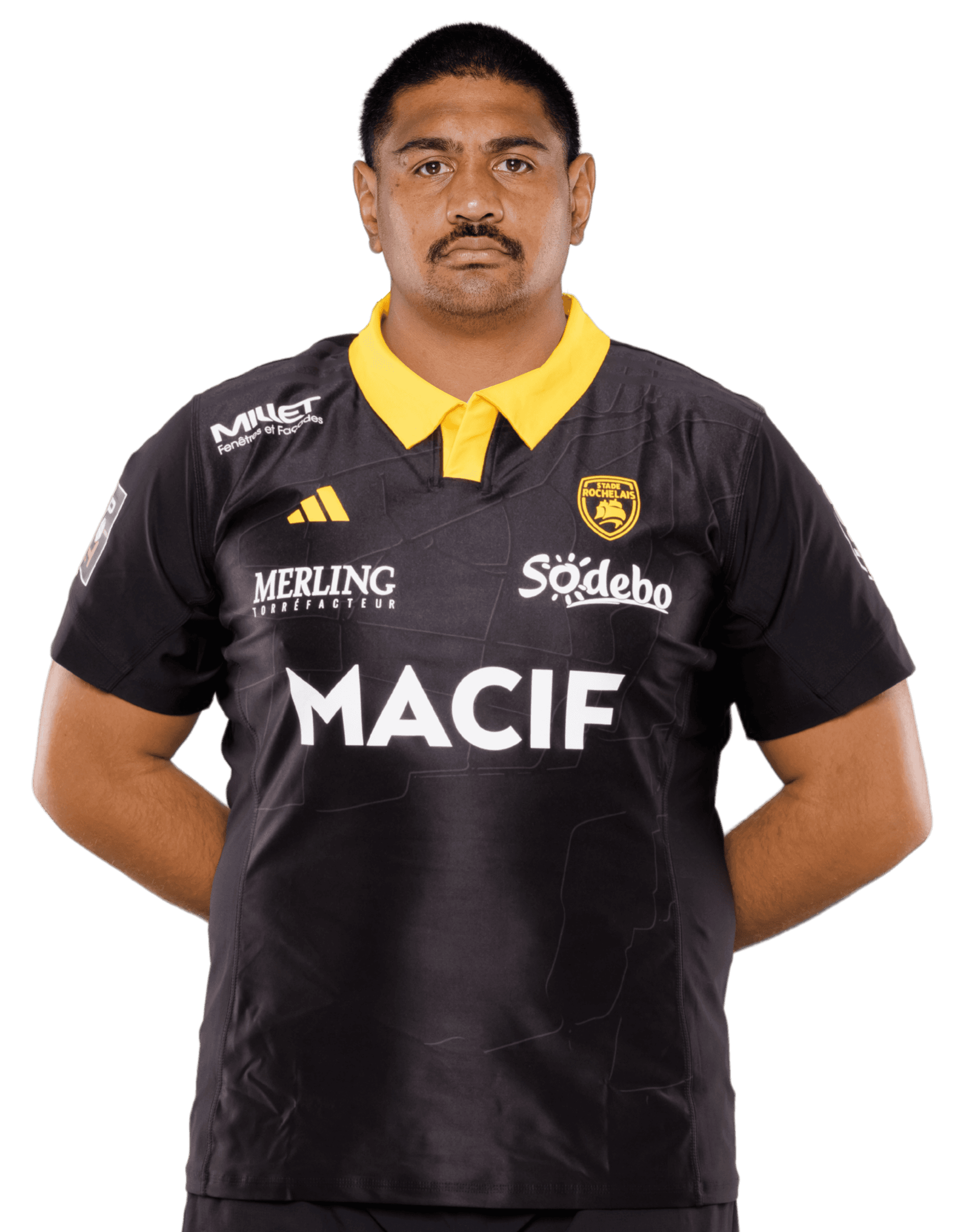 Will Skelton profile