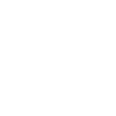 Emirates Lions