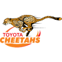 Cheetahs