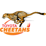 Cheetahs